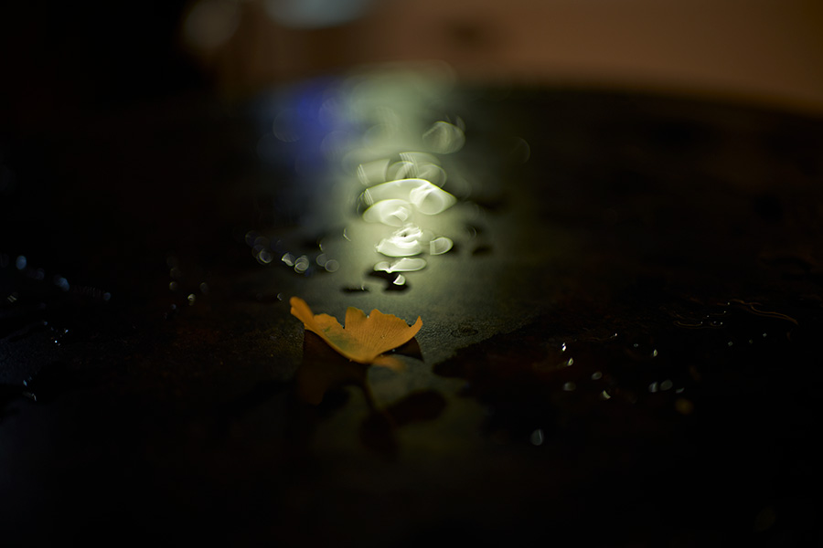 35mm F1.2-DG-DN-_-Art-019-f1.2-2019-10-05-20.08.25_WZA0302