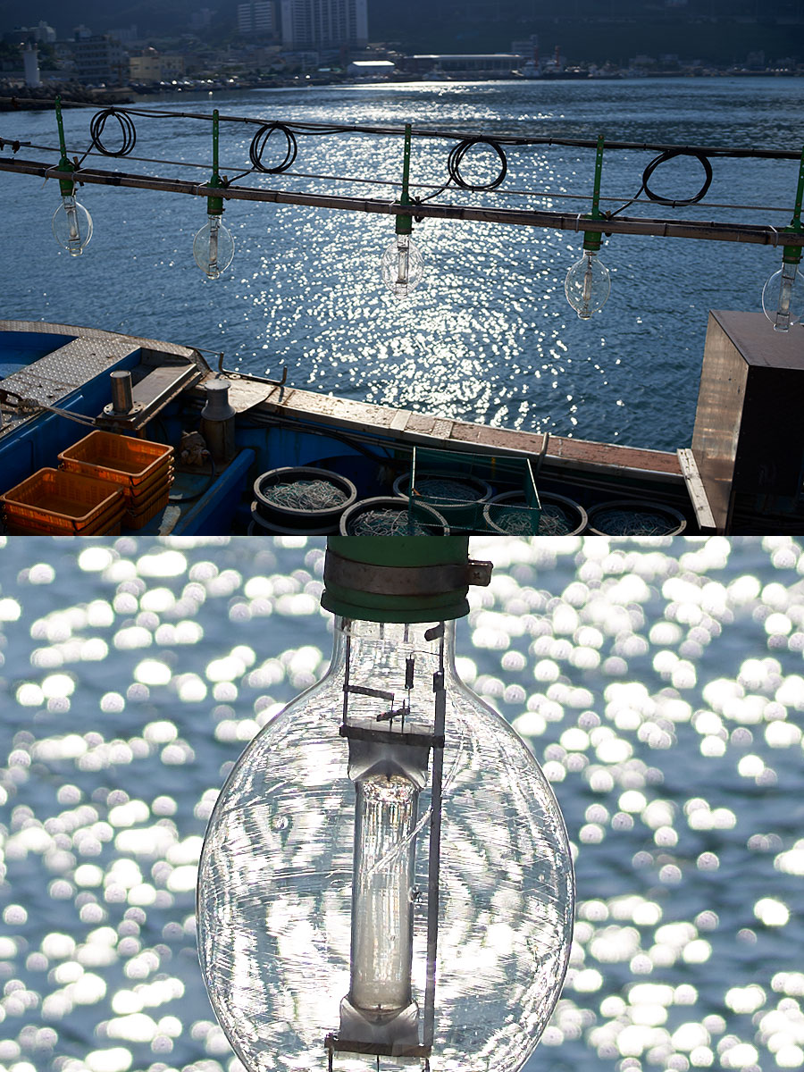 35mm F1.2-DG-DN-_-Art-019-f2.5-2019-08-31-16.42.33_WZA5463