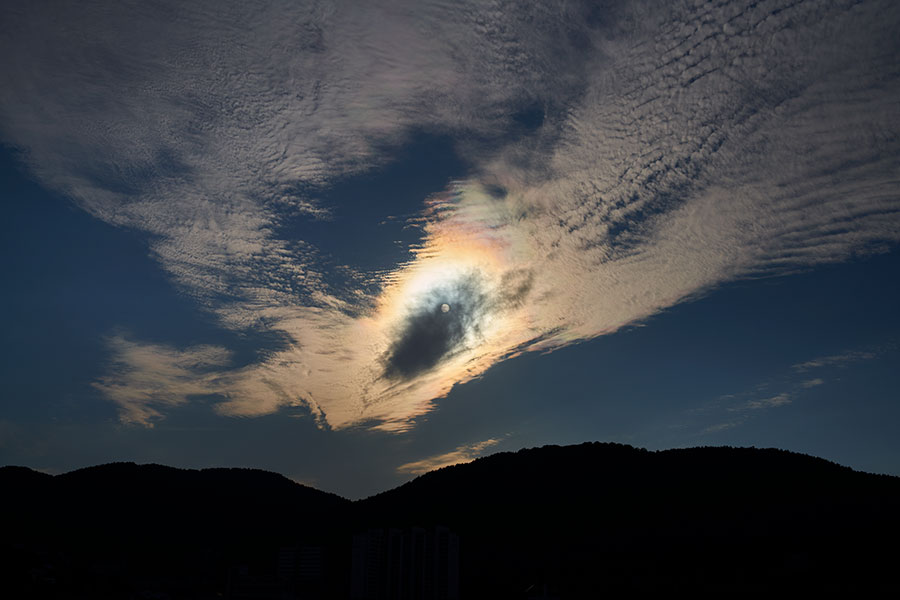 35mm F1.2-DG-DN-_-Art-019-f6.3-2019-08-31-17.09.31_WZA5520