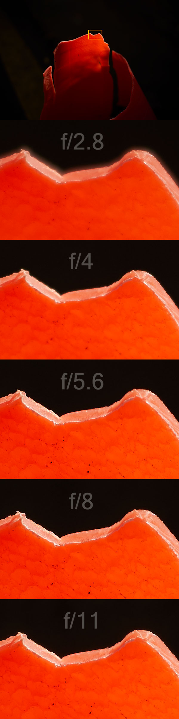 review sigma-45mm_f2.8_contemporary-resolution