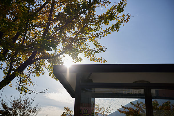 review sigma-45mm_f2.8_contemporary-sunlight