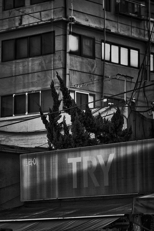 sony a7r4-samples-12