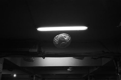 silently_witnessing_icon